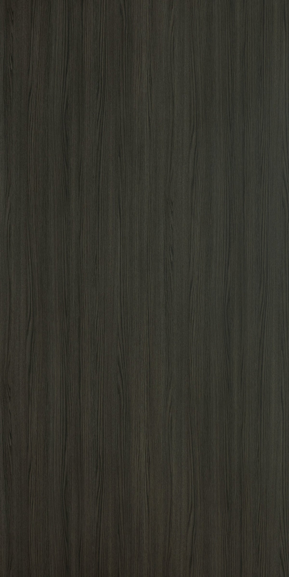MODENA ASH