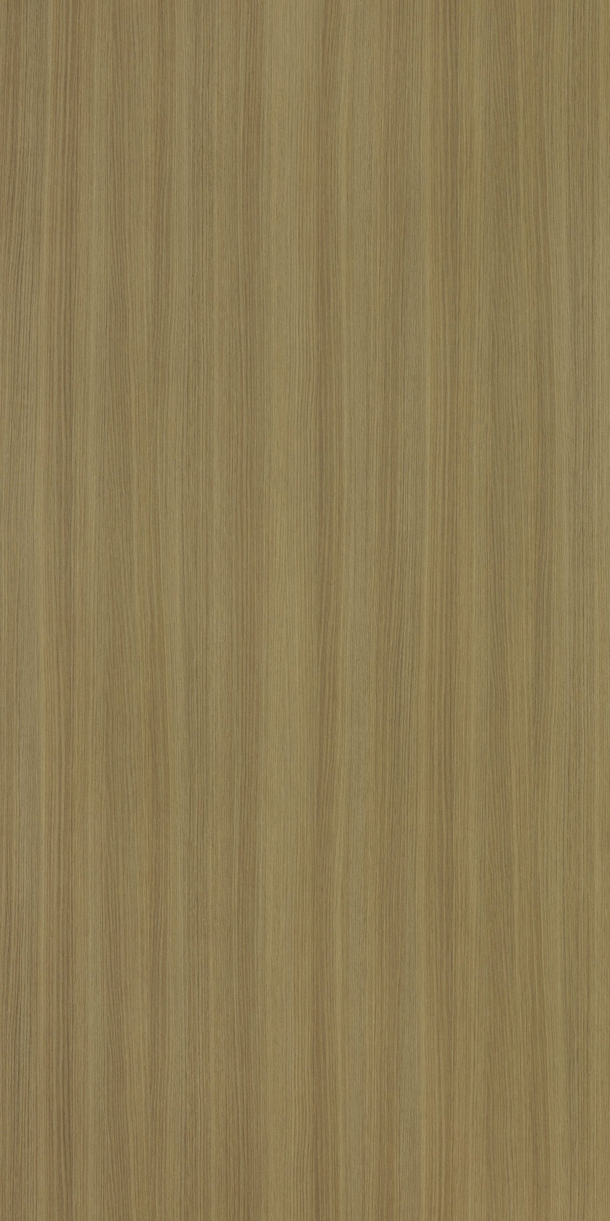 MYANMAR OAK