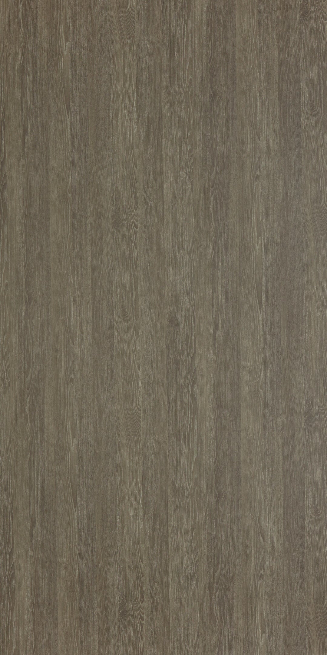 CATANIA ASH - Keminates Pte Ltd