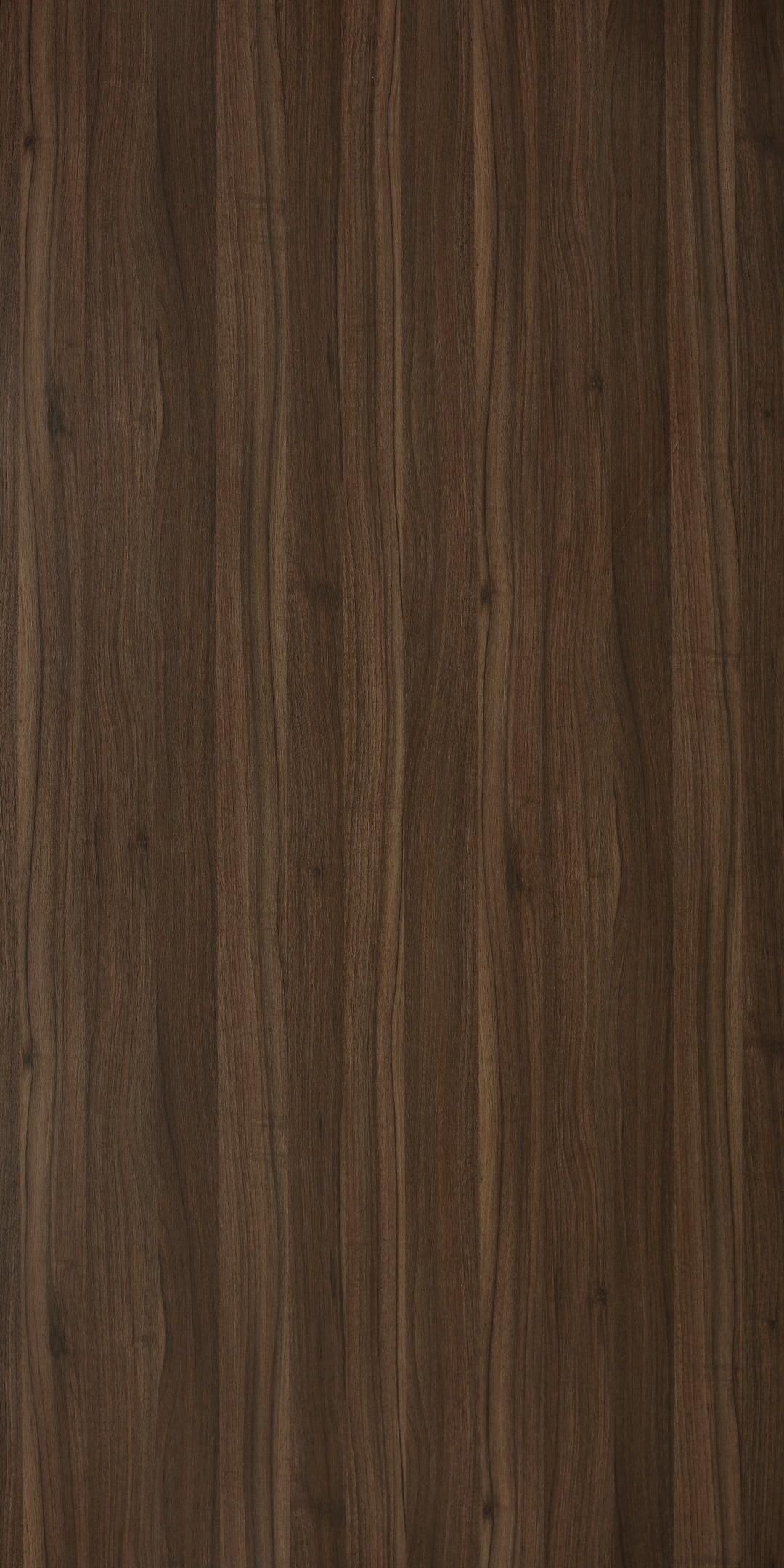 LEGNANO WALNUT