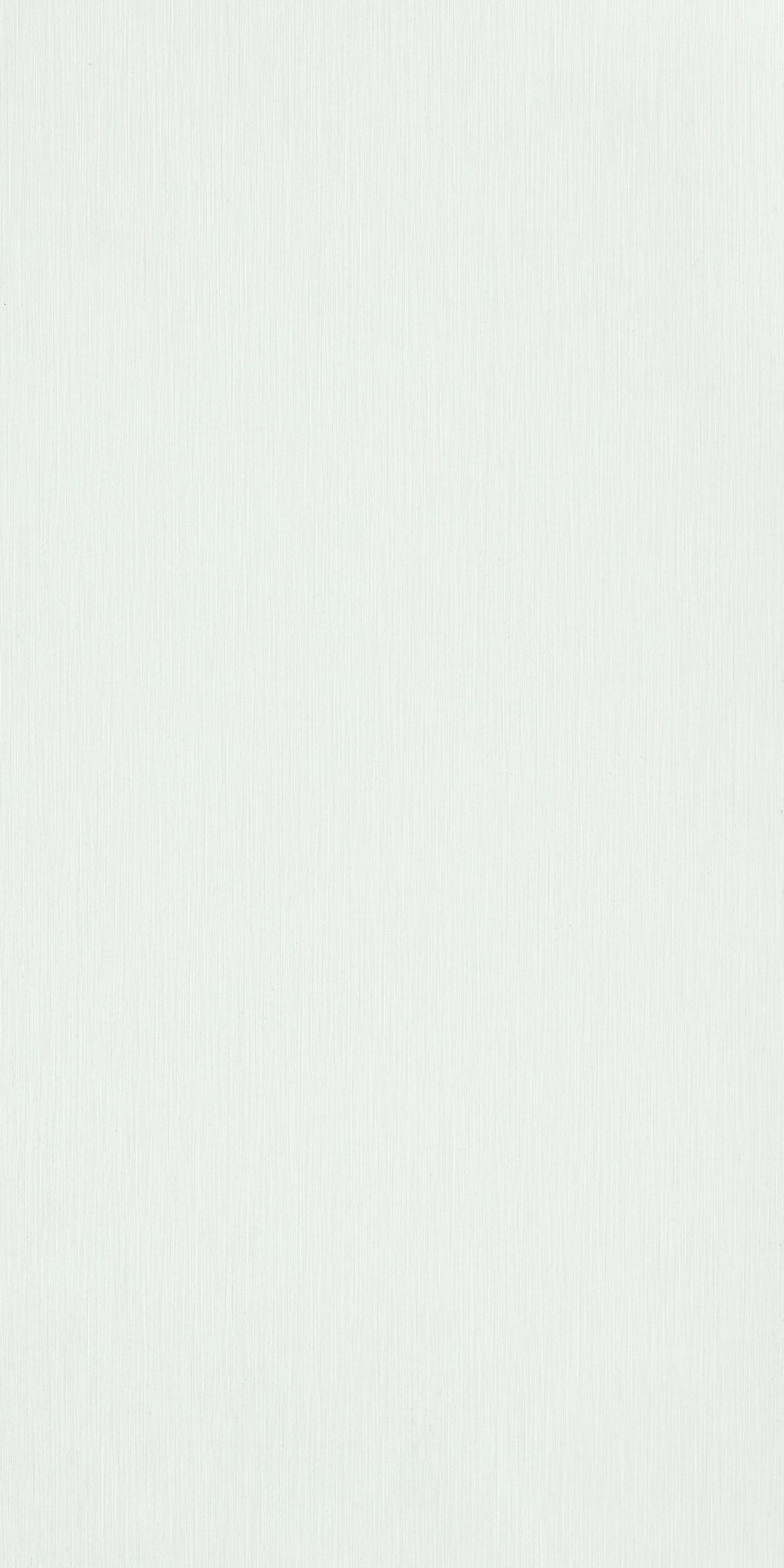 BRUSH WHITE