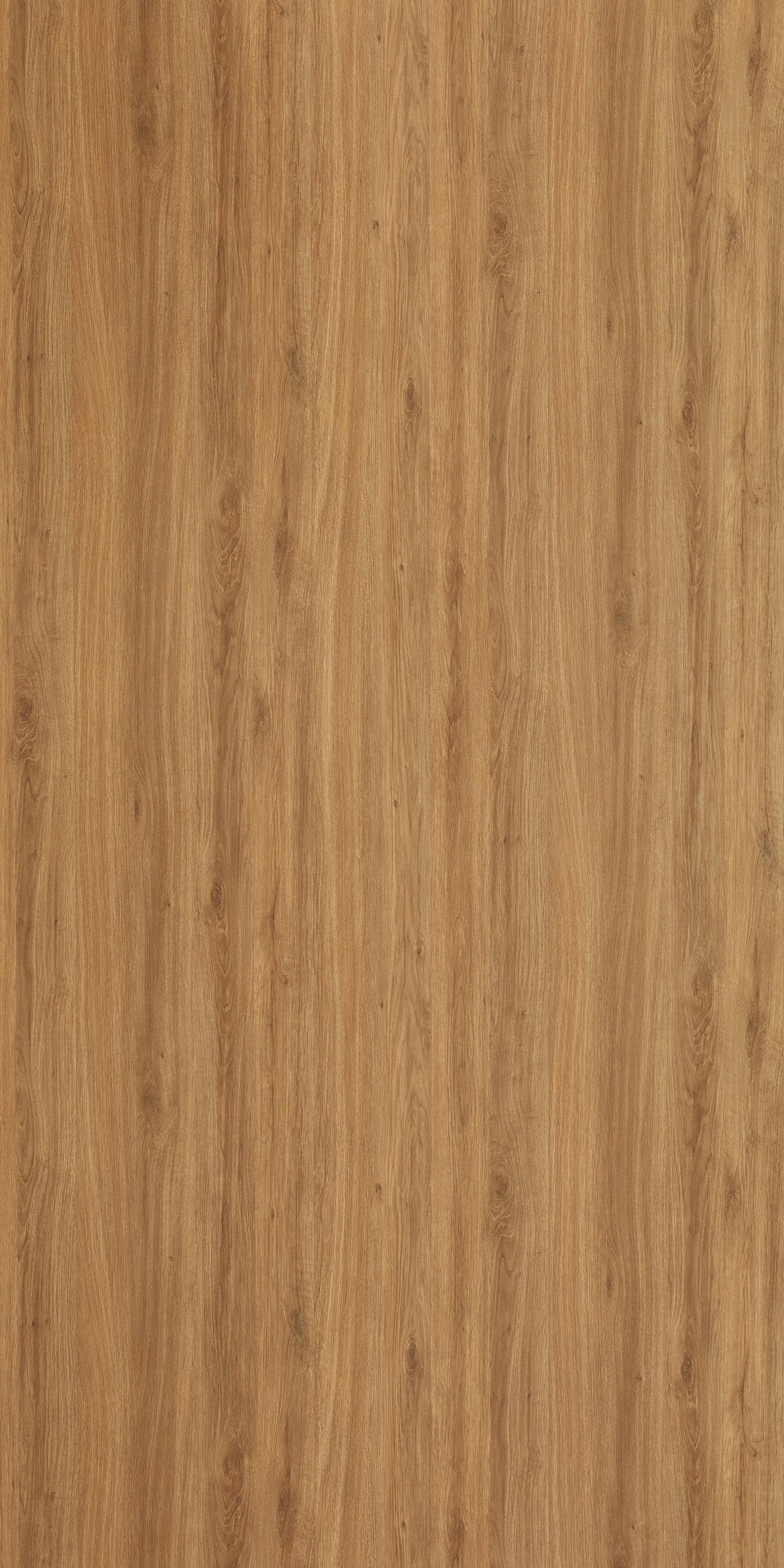 SOFIA OAK GLOSS