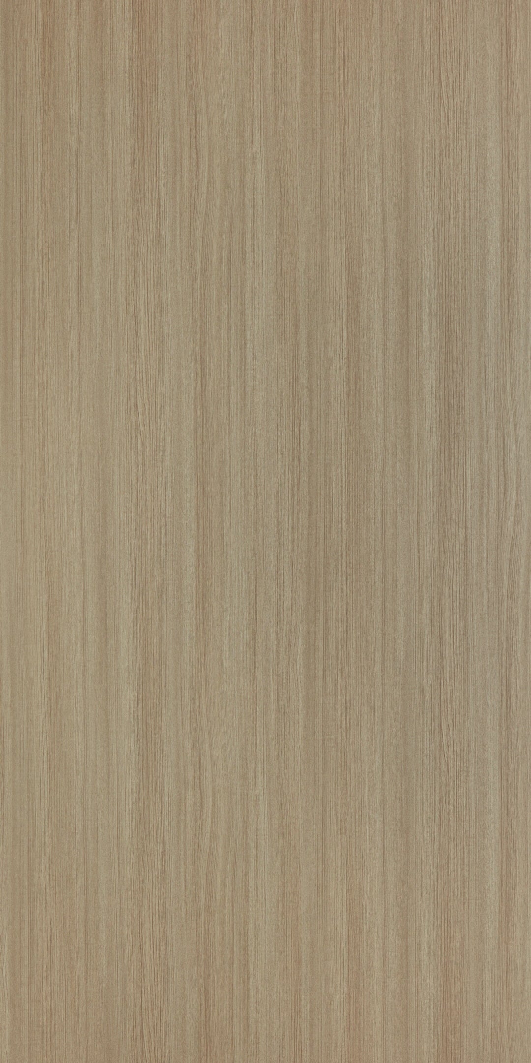 BURGOS TEAK GLOSS