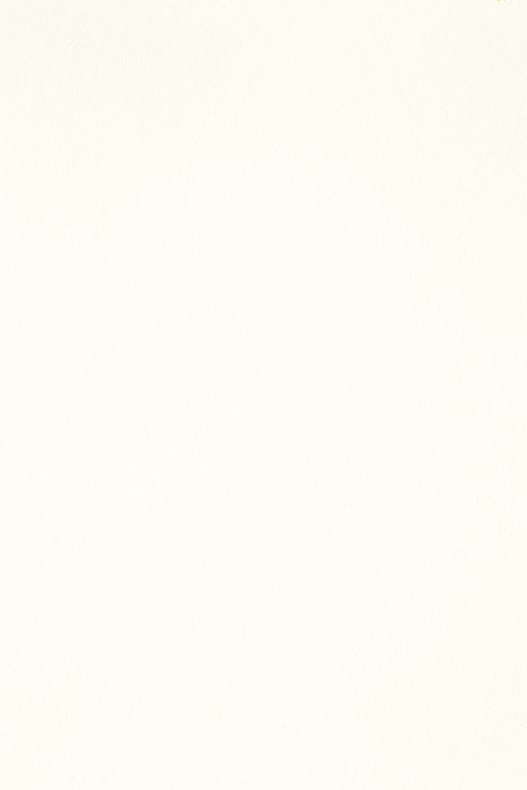 BIANCO PELLE