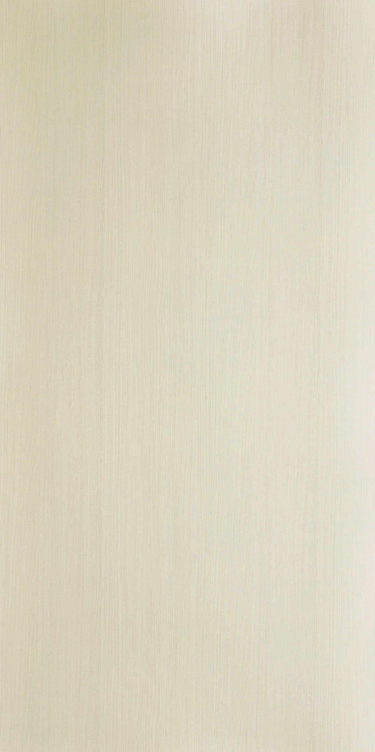 CAGLI ELM