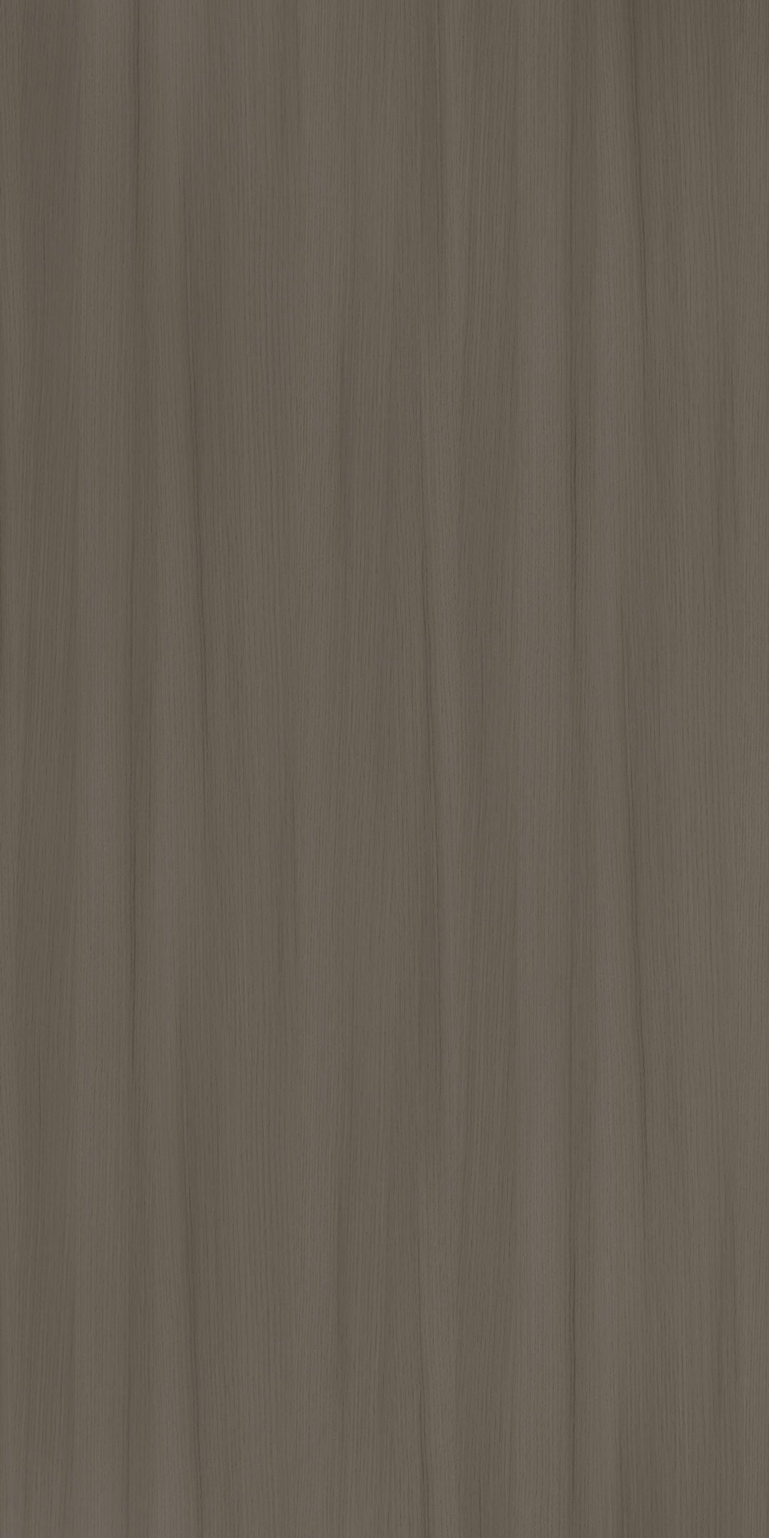 ISTANBUL WALNUT