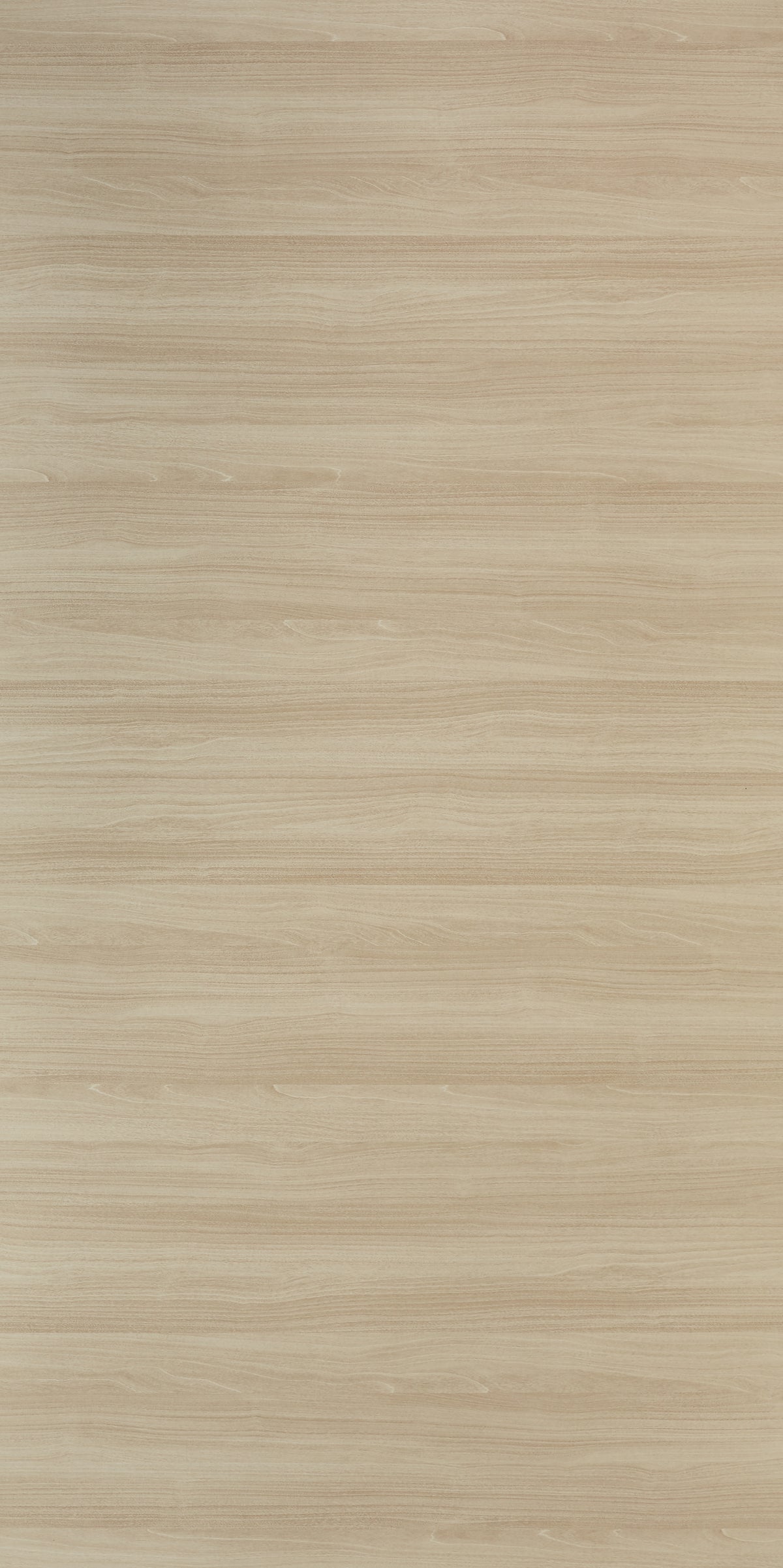 TREVI MAPLE HORIZONTAL