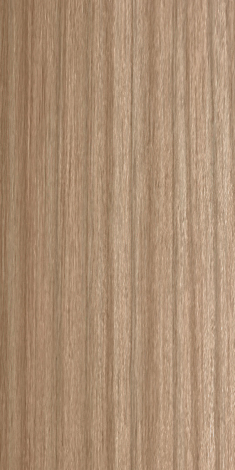 HUBLOT ELM
