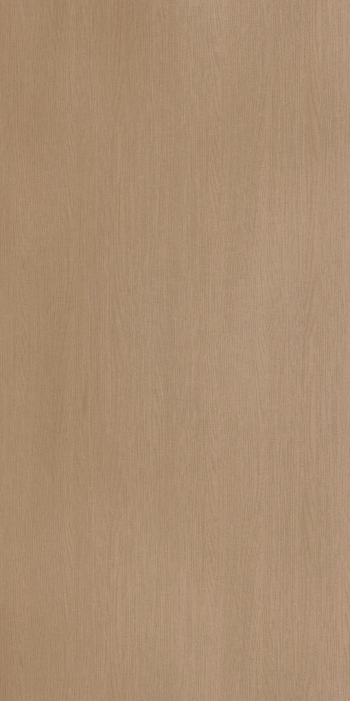 MOMPEO MAPLE