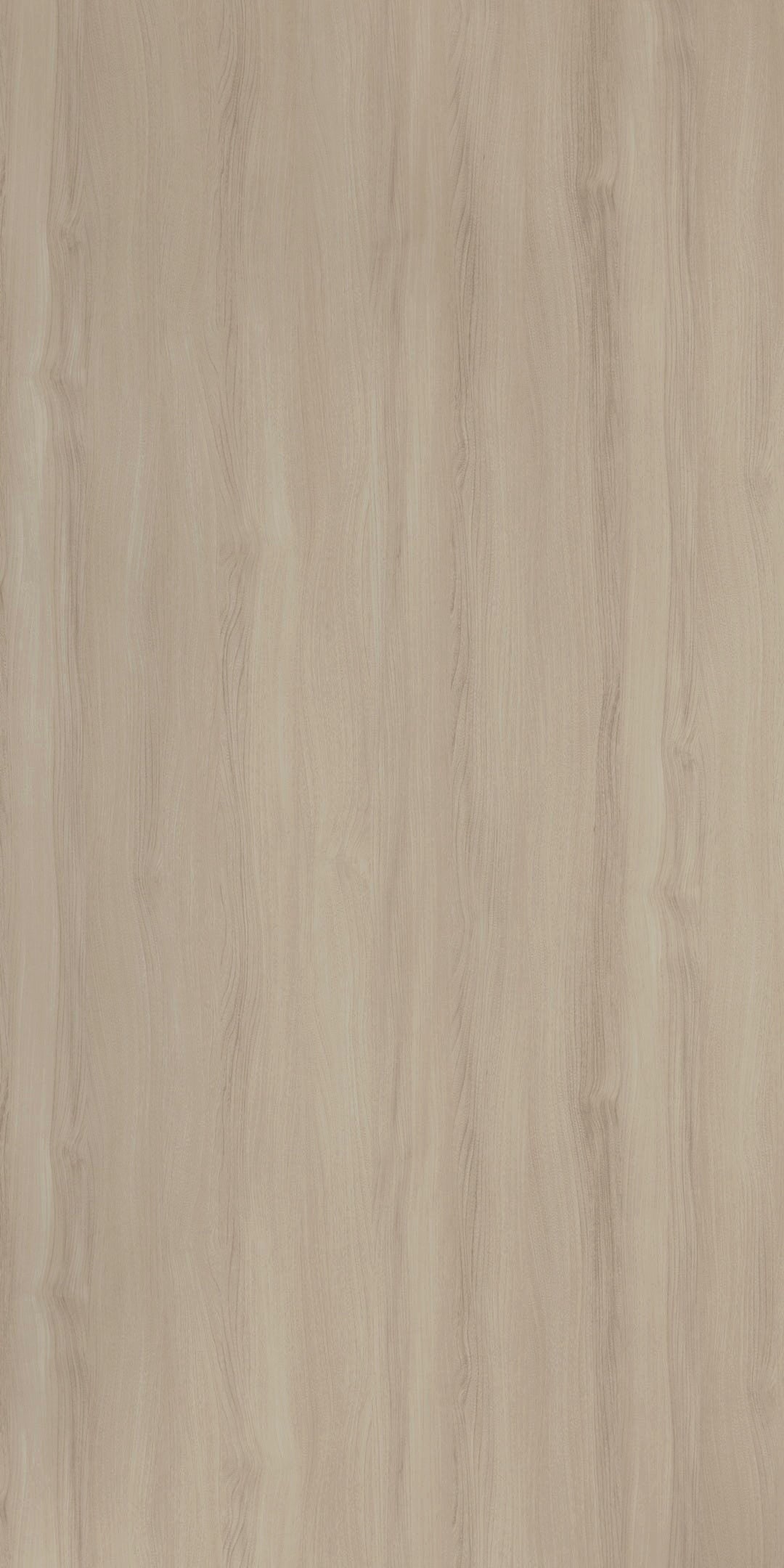SANTIAGO ELM - Keminates Pte Ltd
